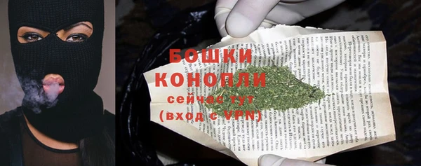 apvp Вяземский