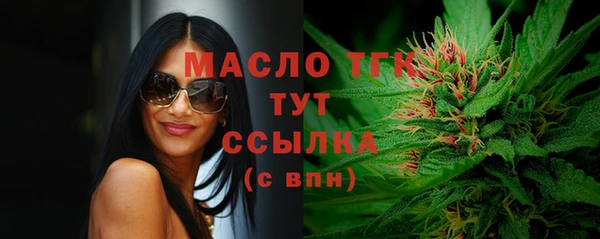 apvp Вяземский