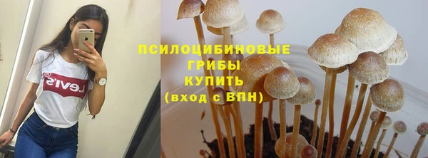 прущие крисы Верея
