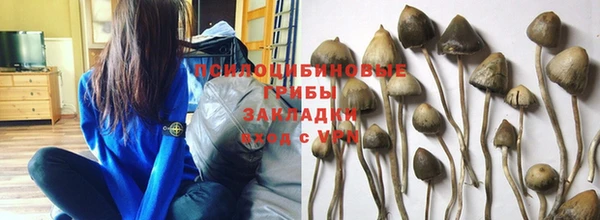 гидропоника Вязники