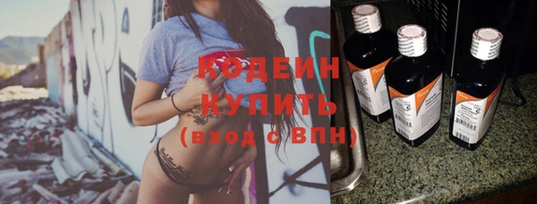 apvp Вяземский