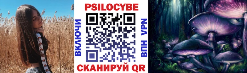Псилоцибиновые грибы Psilocybine cubensis  Камышин 