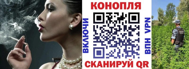 Бошки Шишки марихуана  купить   Камышин 